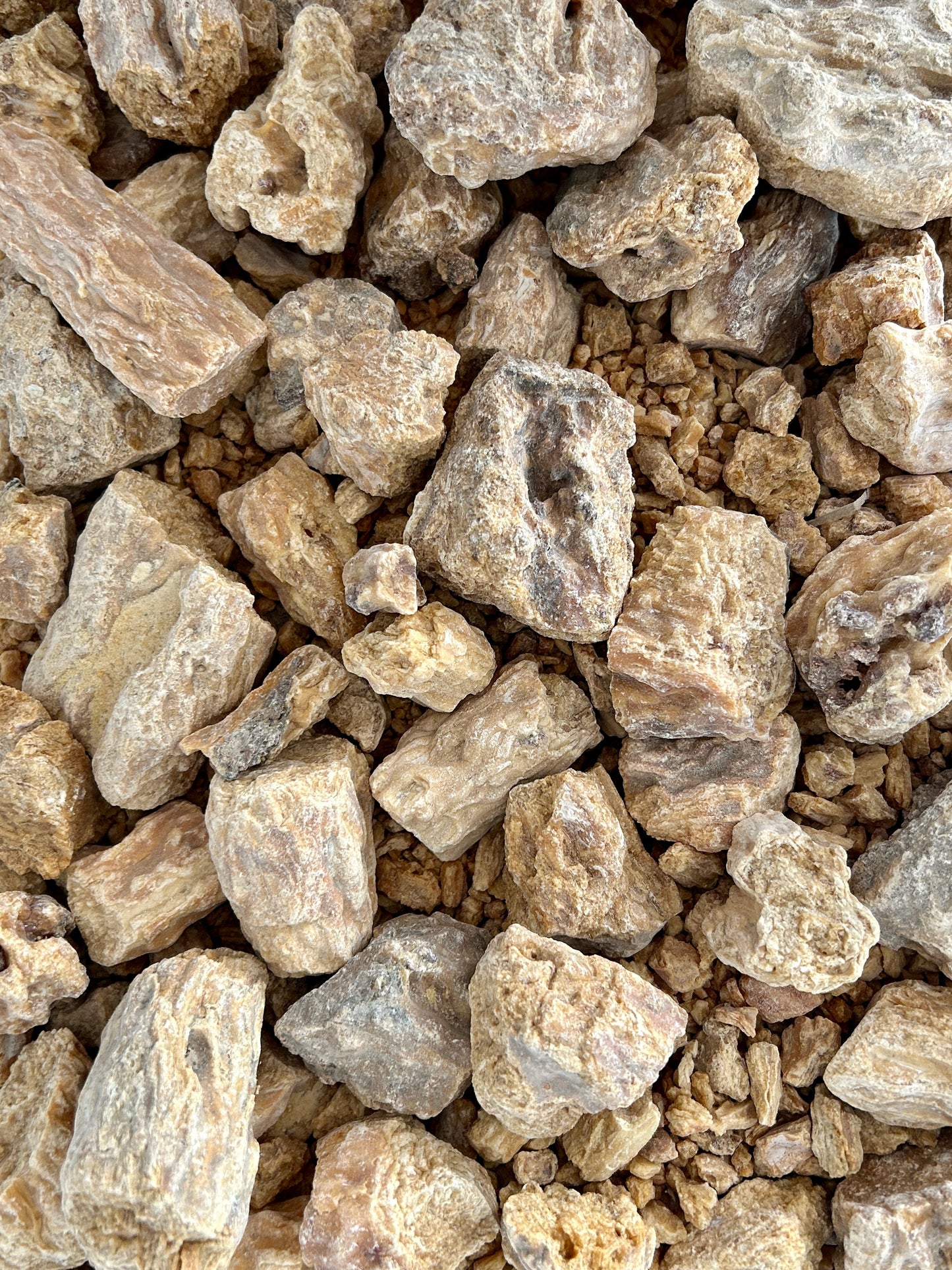 Sal-Harz (Shorea robusta) – Heiliges Naturharz für spirituelle Reinigung & Meditation