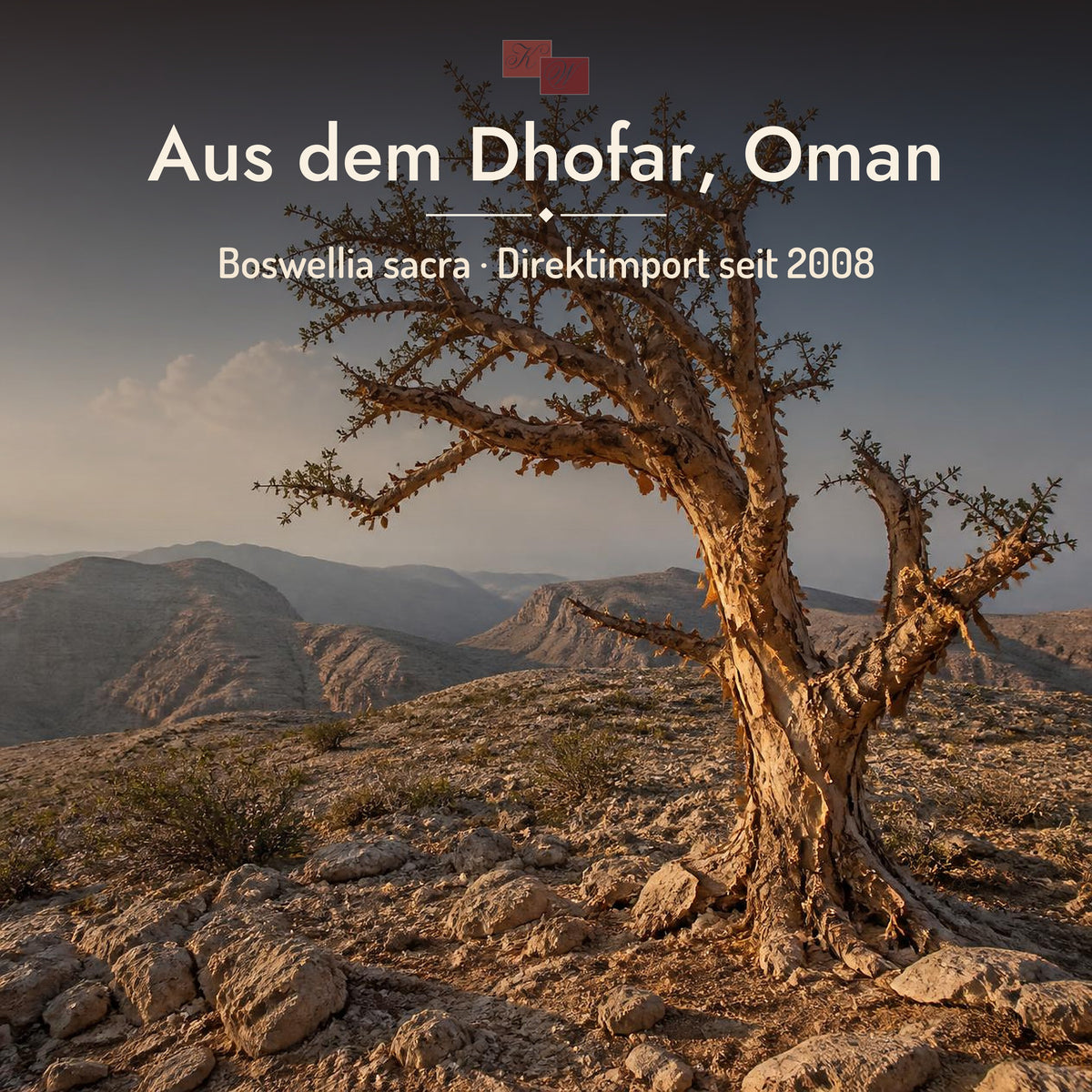 Al-Hojari Grad 3 – Herkunft Dhofar, Oman