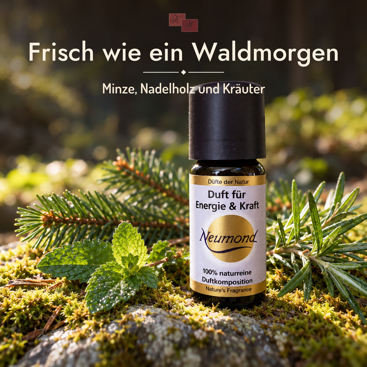 Duft für Energie & Kraft von Neumond – Stimmungsbild „Frisch wie ein Waldmorgen“