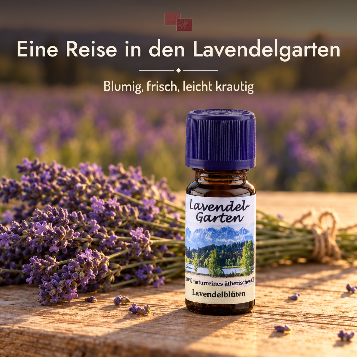 Lavendel-Garten Duftöl – Stimmungsbild „Eine Reise in den Lavendelgarten“