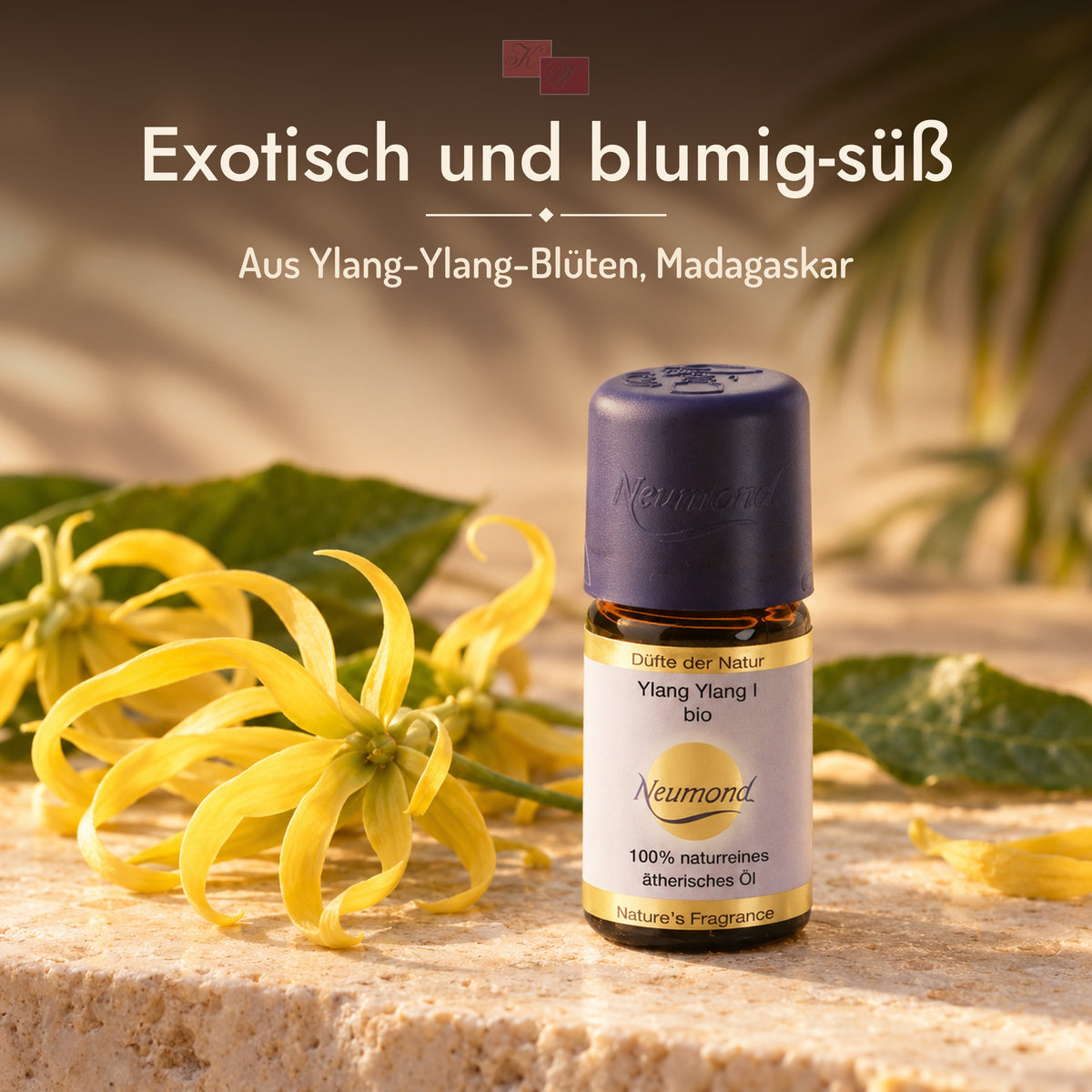 Ylang Ylang I von Neumond – Stimmungsbild „Exotisch und blumig-süß“