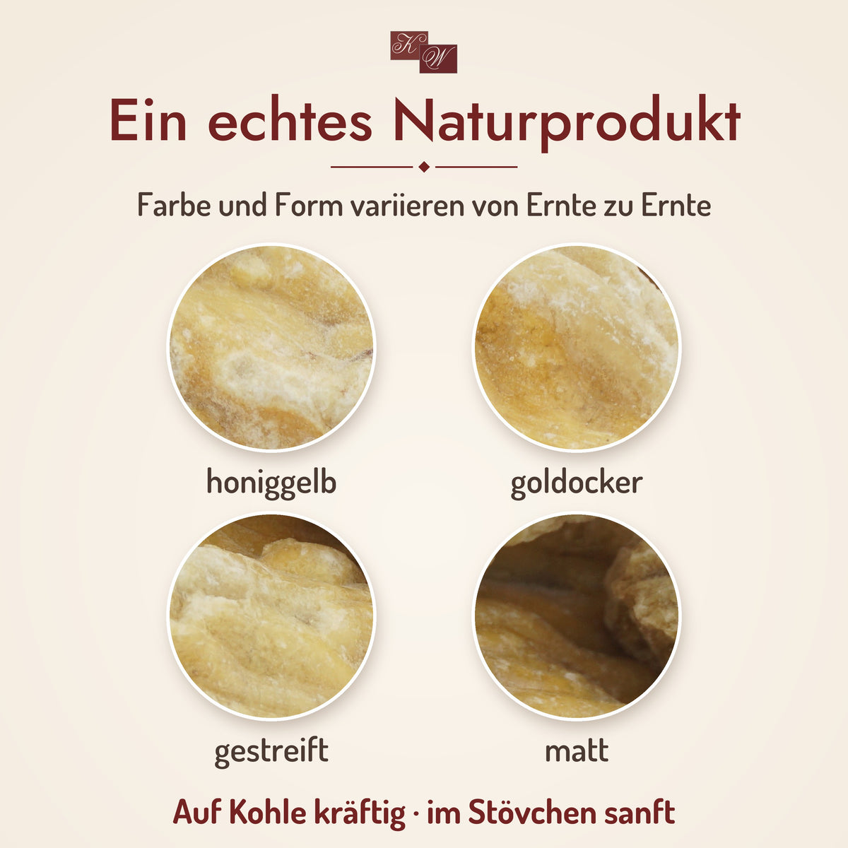 Sal-Harz – Naturprodukt: Farbe und Form variieren von Ernte zu Ernte
