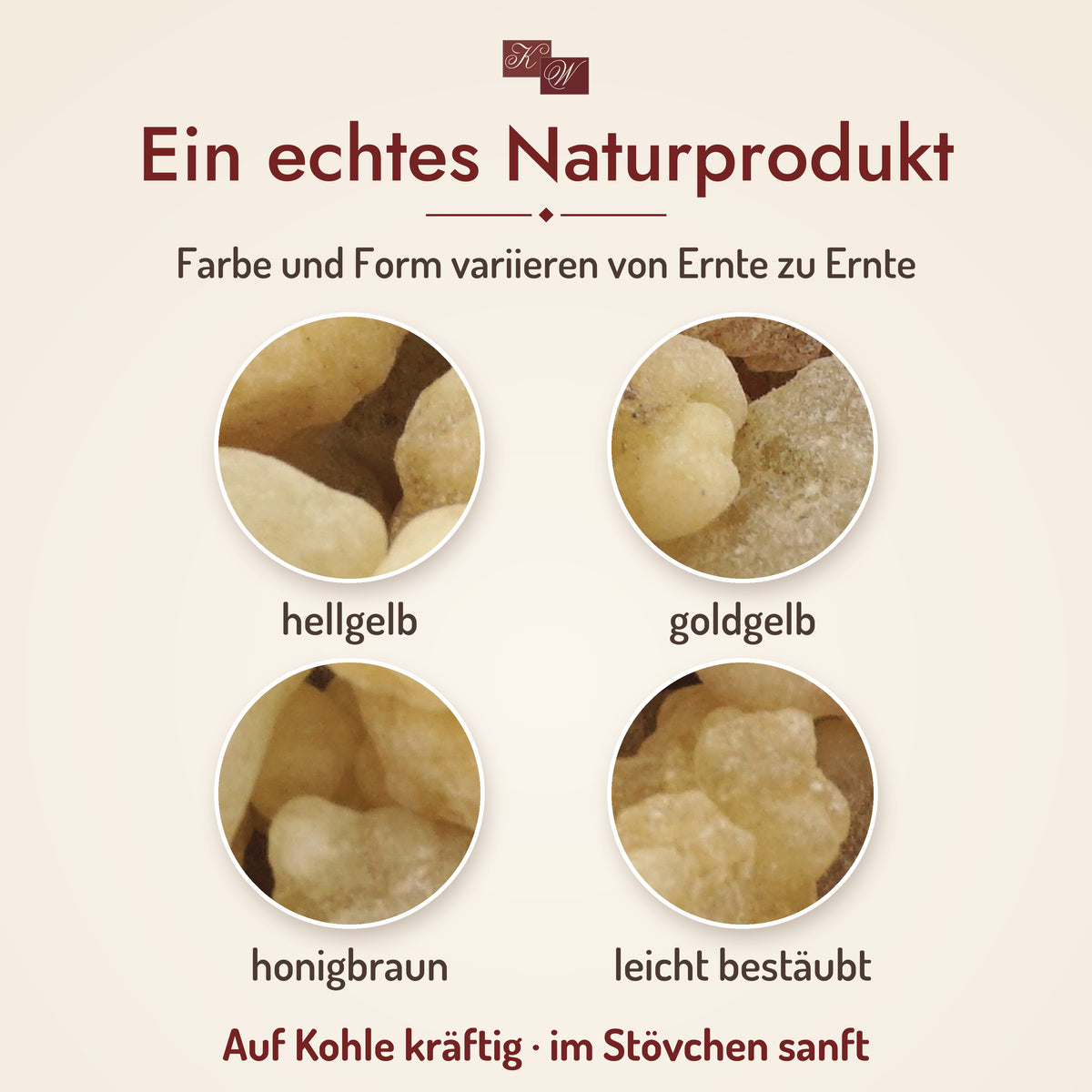 Weihrauch Oman Ecclesia – Naturprodukt: Farbe und Form variieren von Ernte zu Ernte