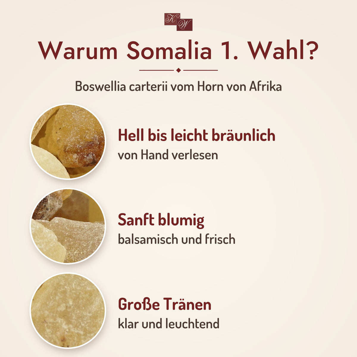 Weihrauch Somalia 1. Wahl – warum diese Sorte