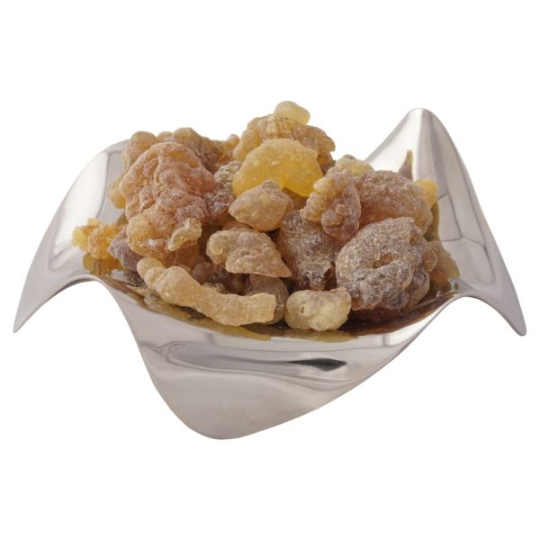 Weihrauch Äthiopien Boswellia papyrifera